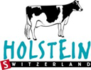 Logo Holstein