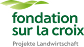 Logo Fondation sur la Croix